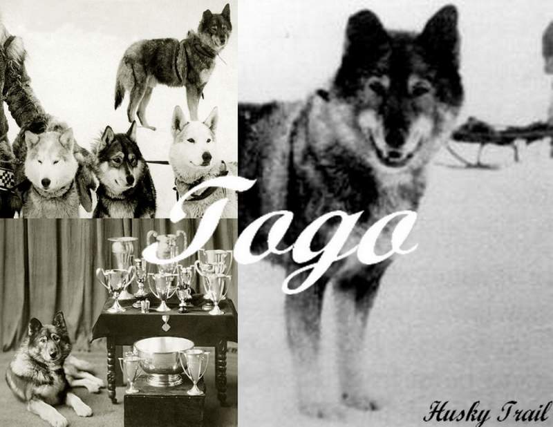 Togo Desktop