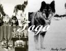 Togo Desktop