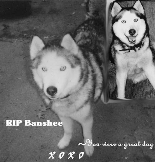 I miss Banshee...