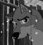 Balto