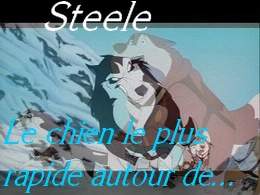 Steele... fastest dog in Nome
