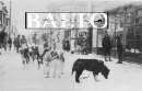 Balto
