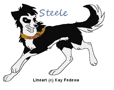 Steele Kay Fedewa style