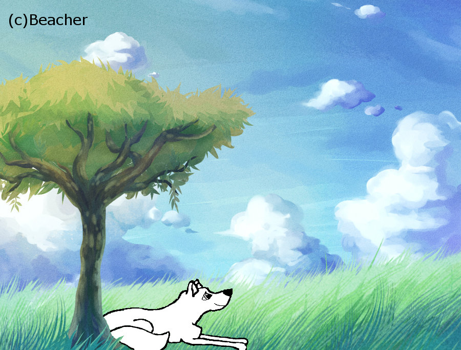 Gift for Wolfsrule