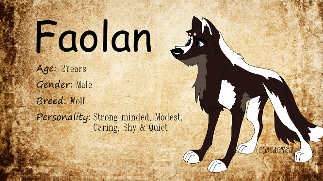 New char~Faolan~
