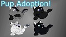 Angel & Fleacher's Pups Up for Adoption!