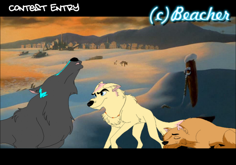 Contest Entry