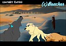 Contest Entry