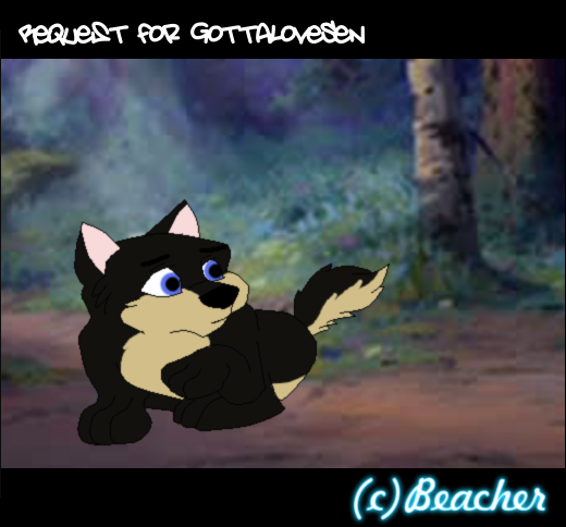 Request for GottaloveSen