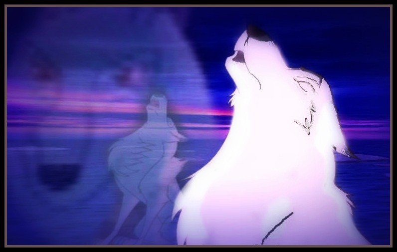 A collage of Aniu