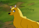 Daisy