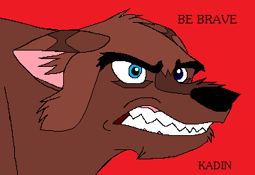 Kadin's Moto