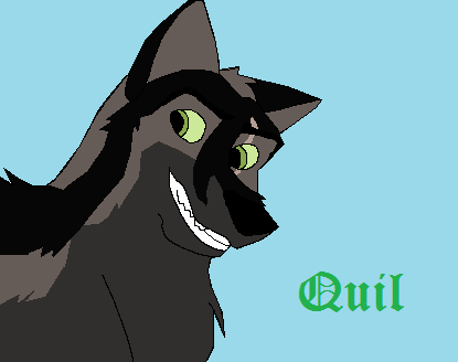 young quil Avie