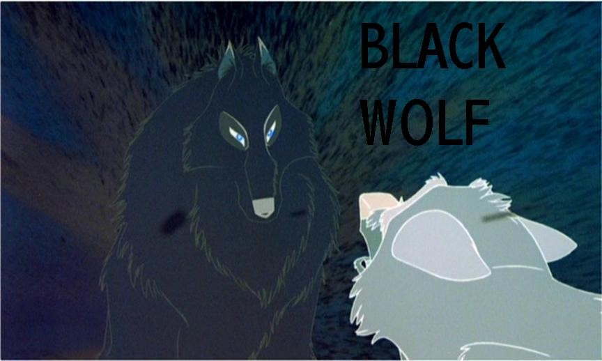 Black wolf