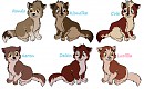 Balto x Jenna 2nd Litter: Adoptables