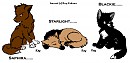 Saphira, Starlight, & Blackie