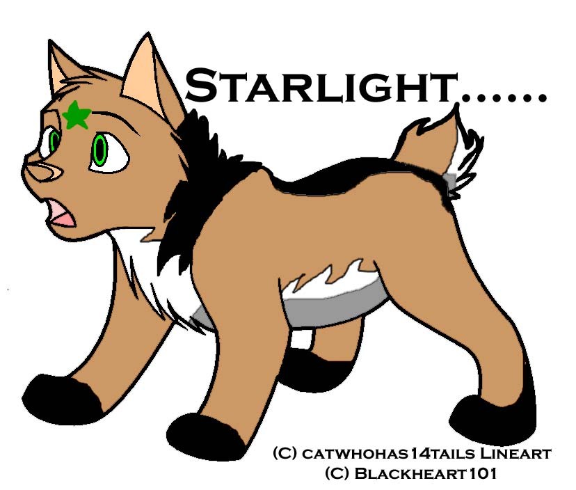 Starlight