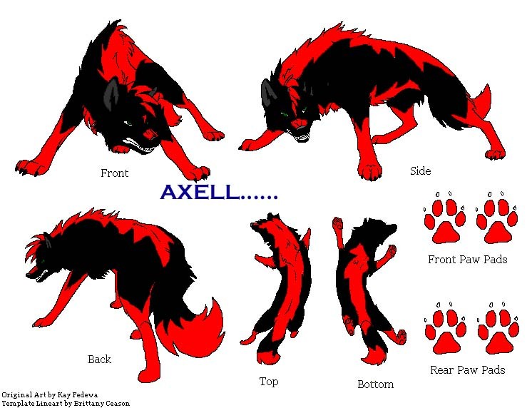 Axell's Markings (C) Kay Fedewa Lineart)