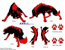 Axell's Markings (C) Kay Fedewa Lineart)