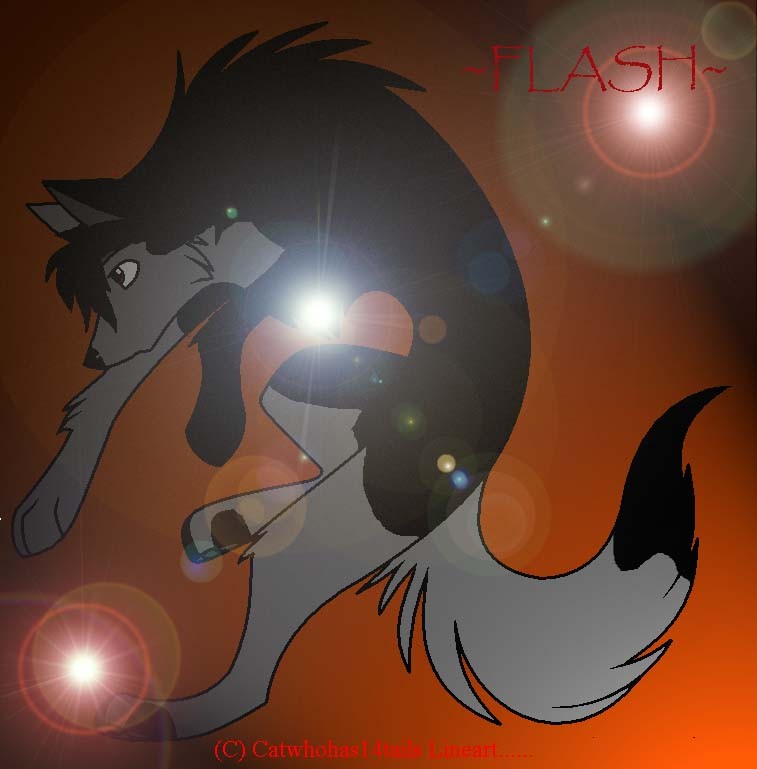 ~Flash~ Song: (Dude looks like a lady)