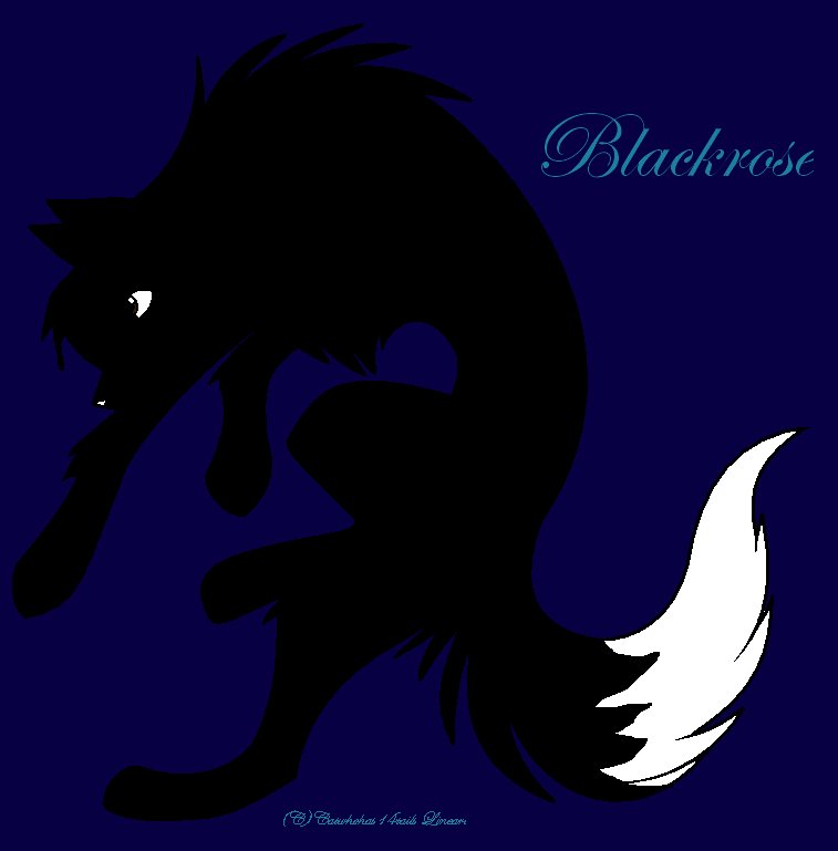 Hi. It's Me-Blackrose