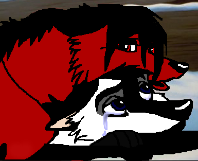 Please Don't Cry. . . 