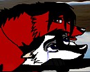 Please Don't Cry. . . 