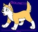 Goldie My New Character......