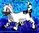 Rorie As A Pup......