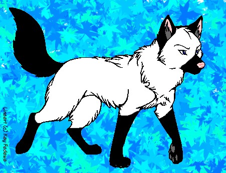 Sashae (C) Kay Fedewa Lineart)