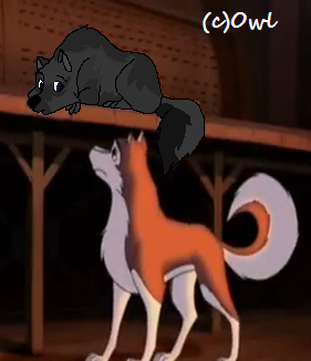 'So..you're Balto's son, eh?'