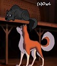 'So..you're Balto's son, eh?'