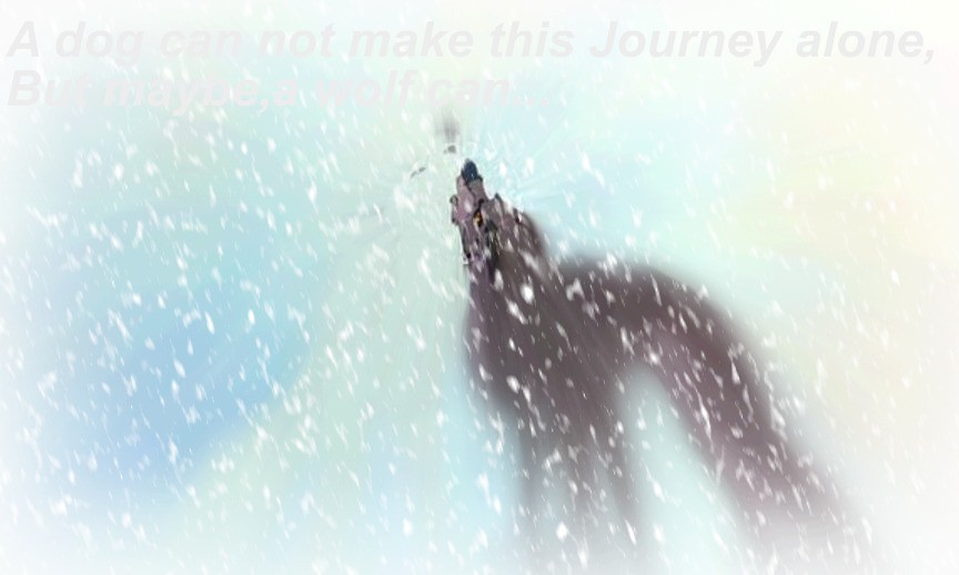 Find the wolf inside,Balto....