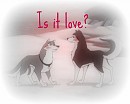 Is it love?