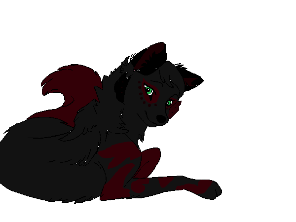 Bloods new design