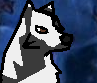 Furture char:Erik XDD
