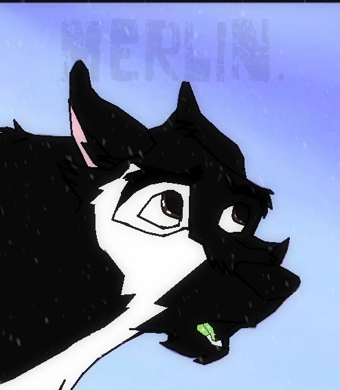 Merlin Le Gasping in the snow..XDDD