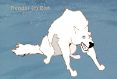 O:
