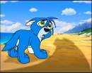 Sky pup