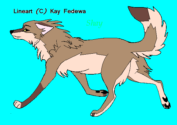Shay: Contest prize