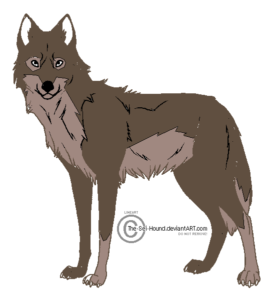 Balto