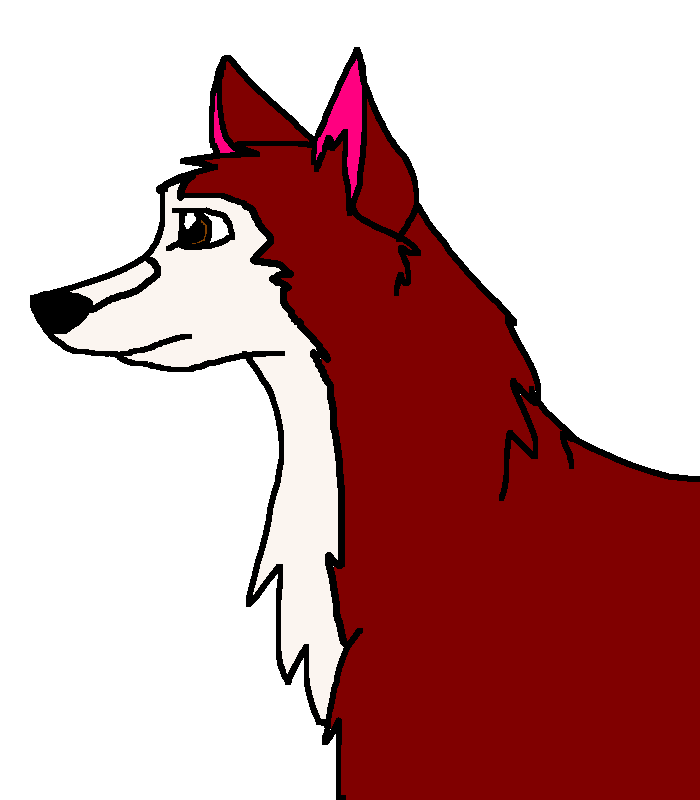 Kodi