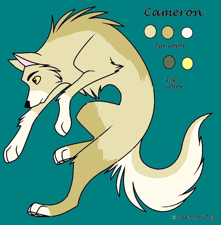 Cameron