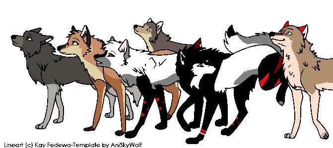 The Pack