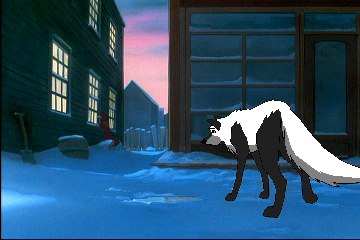 Dingo