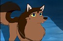 Cora 