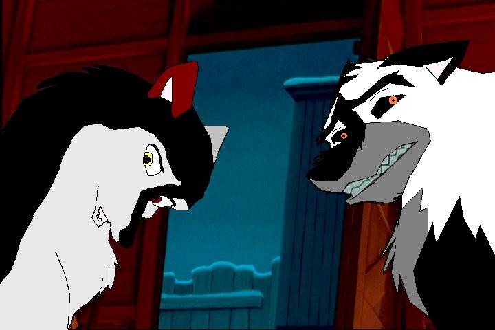 Dingo and Chelsey