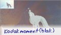 kodakmoment(blak)