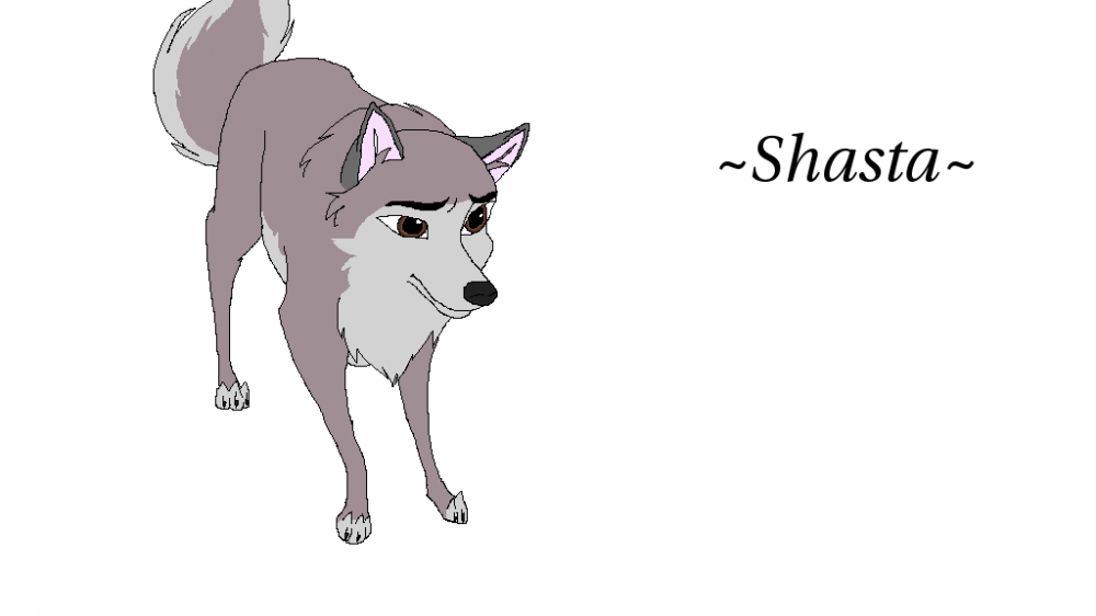Shasta 8D