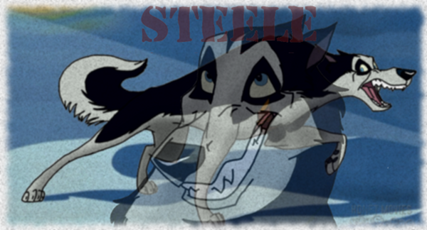}~Steele Siggy~{